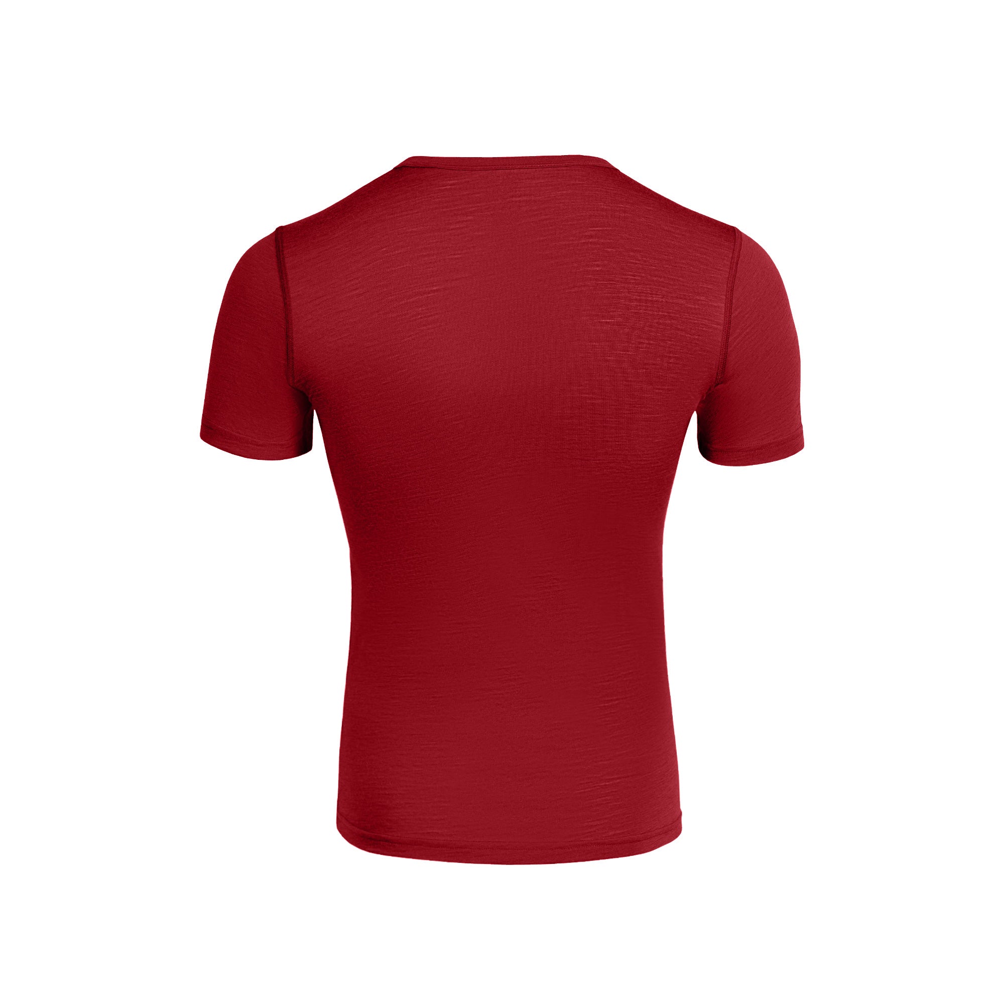 Men's 160 Merino T-Shirt Royal Cherry